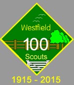 Scouts100years