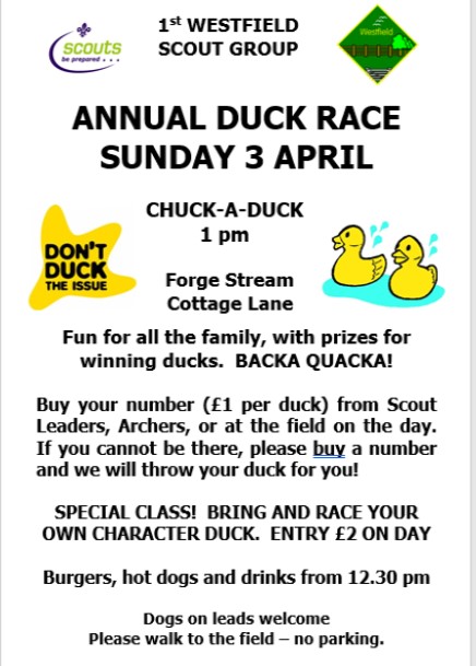 Duck Race poster 2022