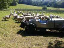 1929 Riley Wheel farm