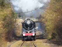 Steam train at Doleham