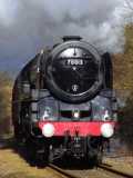 steam train at doleham 2