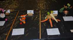 childrens classes 2