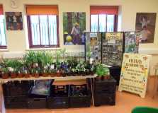 friary gardeners
