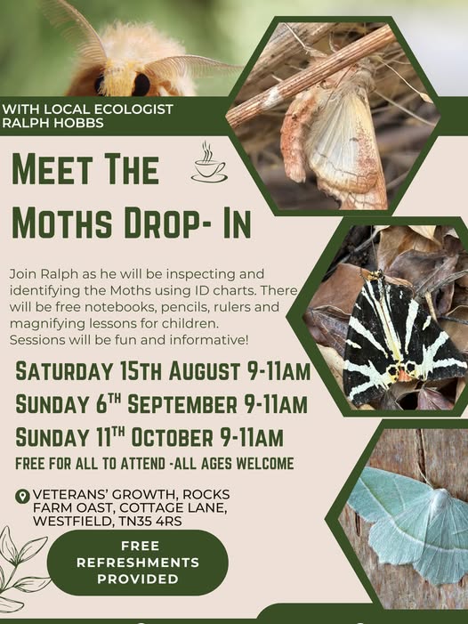 meet the moths